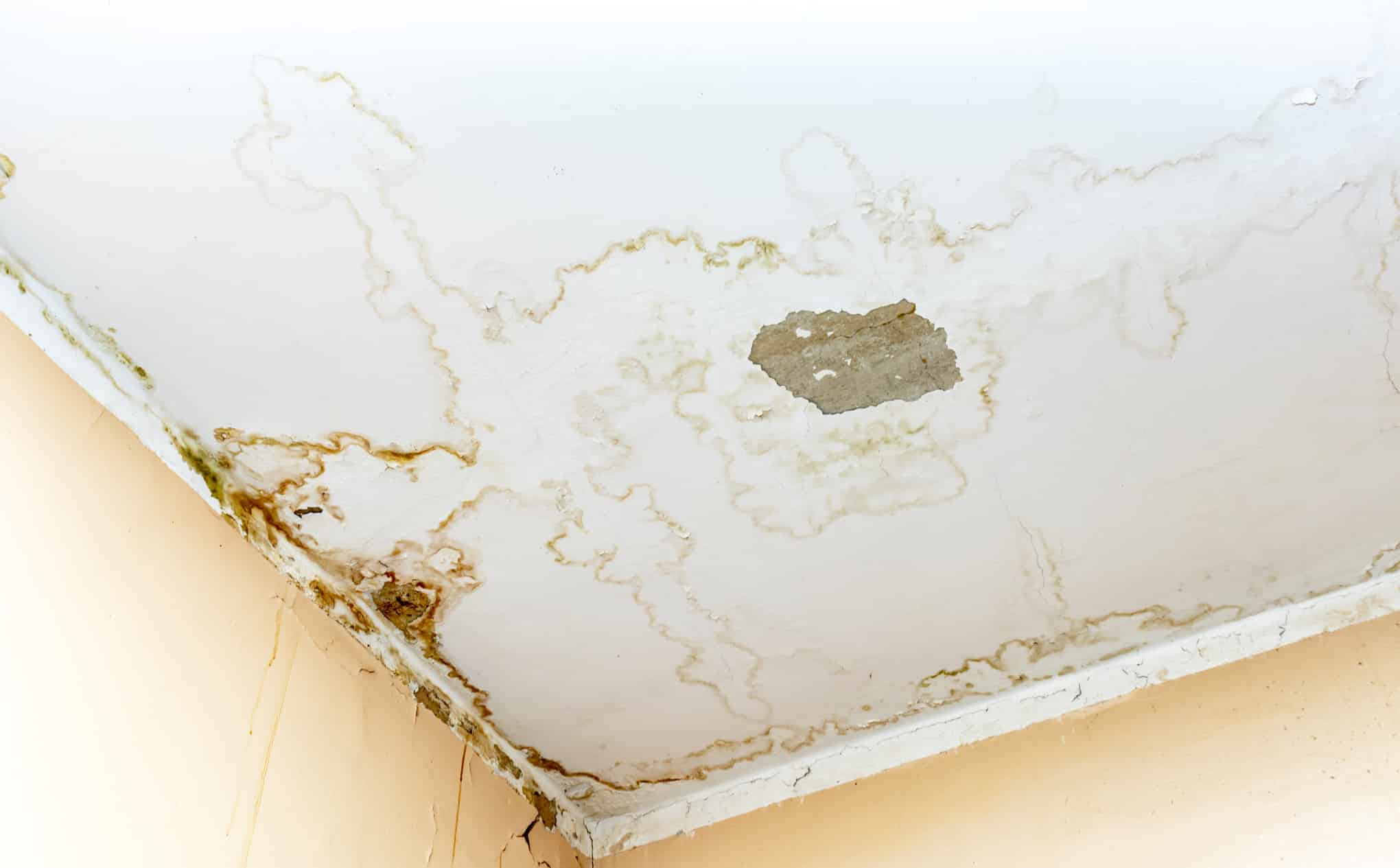 How To Find A Water Leak In Your Home