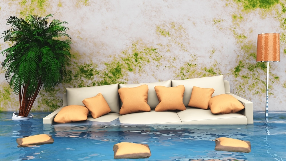 water damage