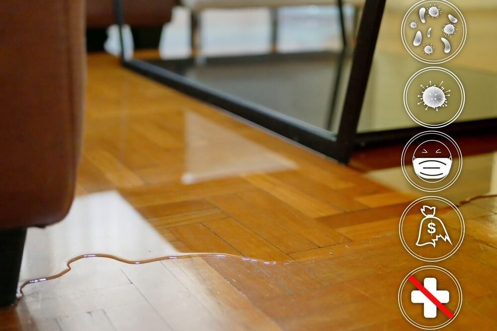 Steps To Save Hardwood Floors From Water Damage