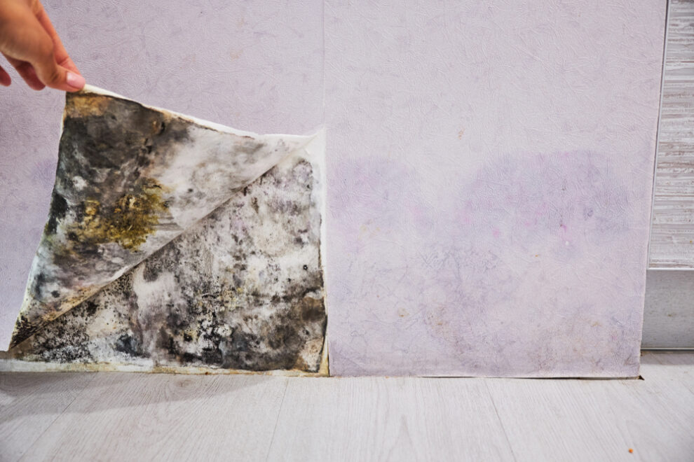 hidden water damage