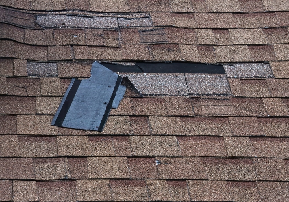 roof leak repair service