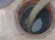 Sewage backup guide