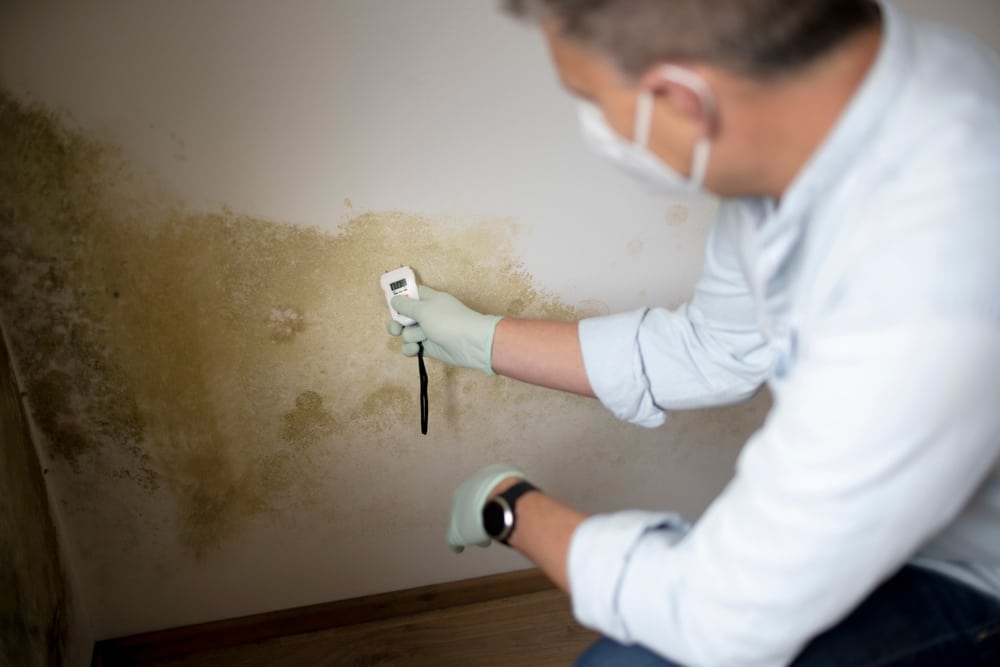 Man,With,Nose,Mouth,Protection,Measures,The,Moisture,Level,On water removal expert