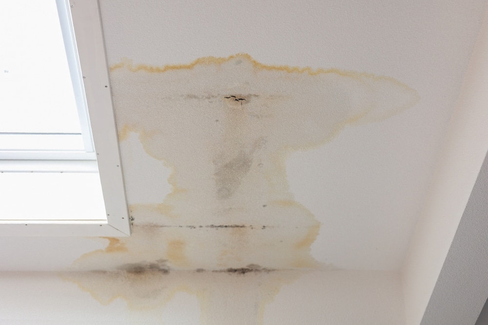 Hard,Black,Stains,On,White,Wall,And,Black,Mold,,All Water stains