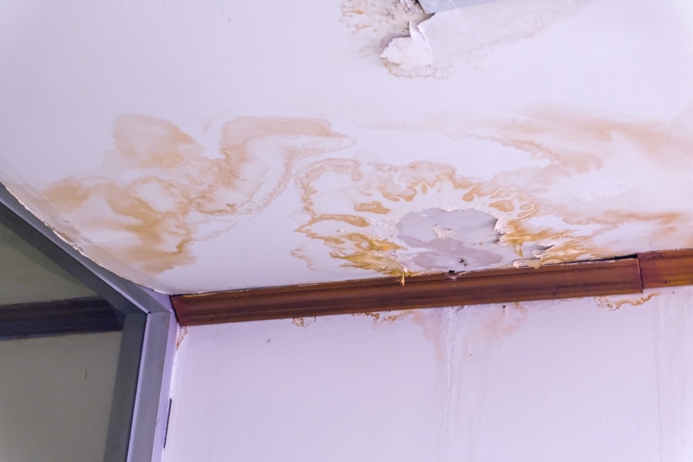 Water,Damaged,Ceiling,Roof,,Brown,Stain,,Office,Building peeling paint