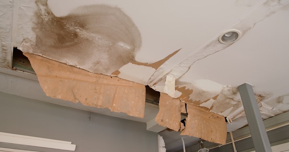 Ceiling,Panels,With,Fungus,Outside,House,From,Water,Pipes,Damaged mold growth water damage