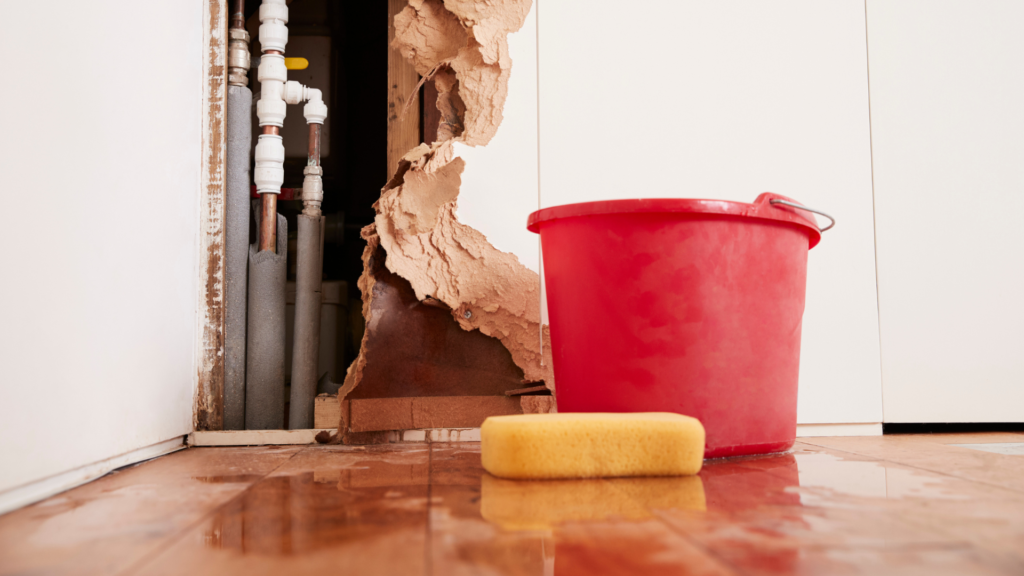 How Much Does Water Damage Restoration Cost in Boise?