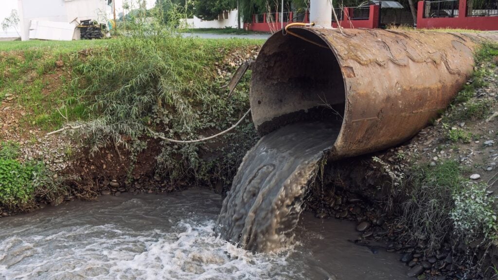 How Dangerous Is Sewage Water in Your Home?