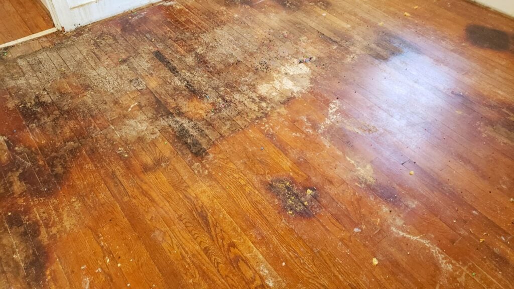What Are the Signs of Hidden Water Damage in Boise Homes?