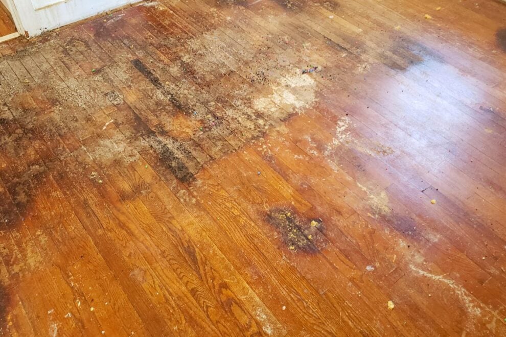(Q3) What Are the Signs of Hidden Water Damage in Boise Homes_ (banner photo)